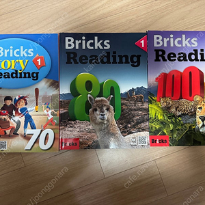 브릭스 리딩 80,100 브릭스스토리리딩 70 bricks reading