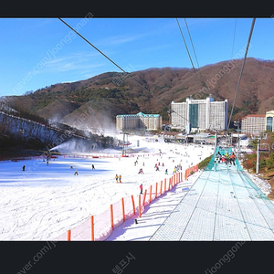 2월 14일/15일 비발디파크 소노벨 스위트 스탠다드/취사