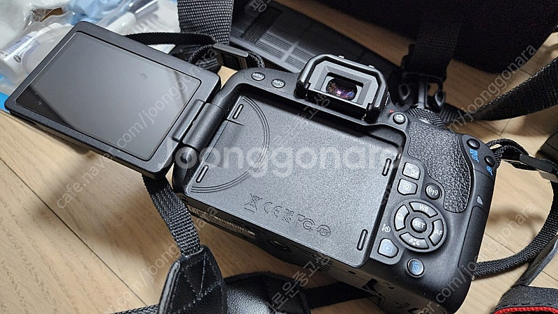 캐논 800D + 시그마 아트 삼식이--2