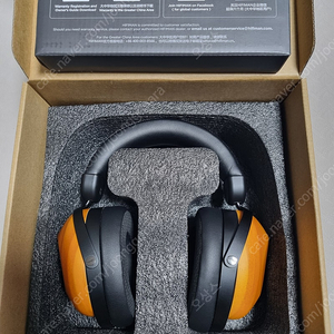 하이파이맨 HIFIMAN R10D 팝니다.