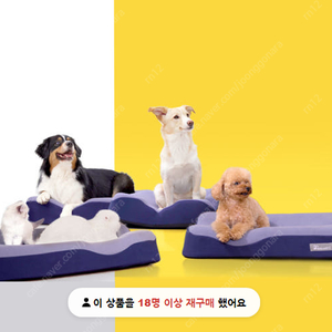 젠틀리머 펫베드 S 강아지 고양이 반려동물 방석 쿠션