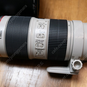 캐논 새아빠백통 , 메타본즈5, cannon EF 70-200mm f2.8L IS II usm ,