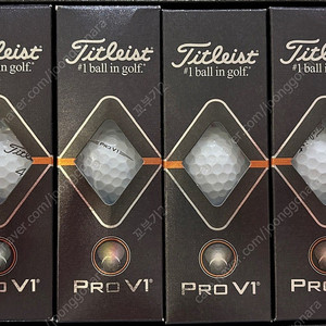 타이틀리스트 pro v1