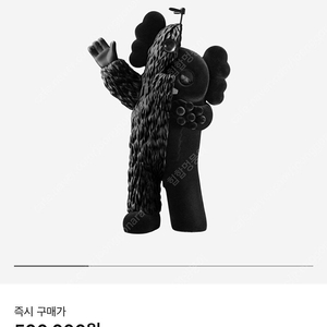 Kaws 카우스 카차무쿠 블랫