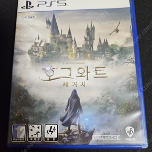 ps5 호그와트 레거시 택포