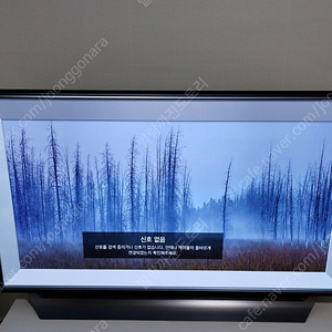 LG OLED55C8CNA TV 스탠드형