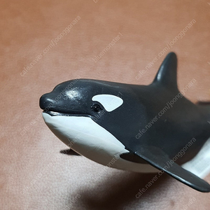 Schleich 슐라이히 판매 (SL14836 새끼 범고래)