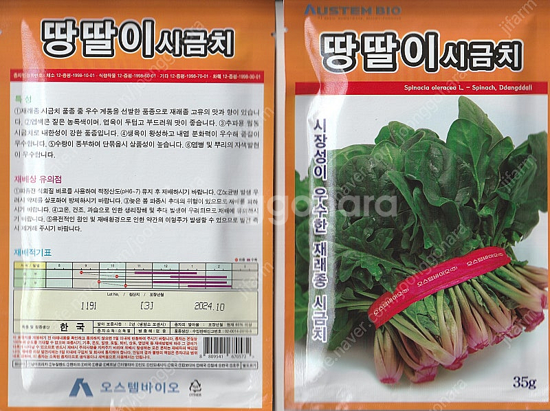 겨울시금치(포항초) 씨앗 35g(약2,500립) 짜리 ...--0