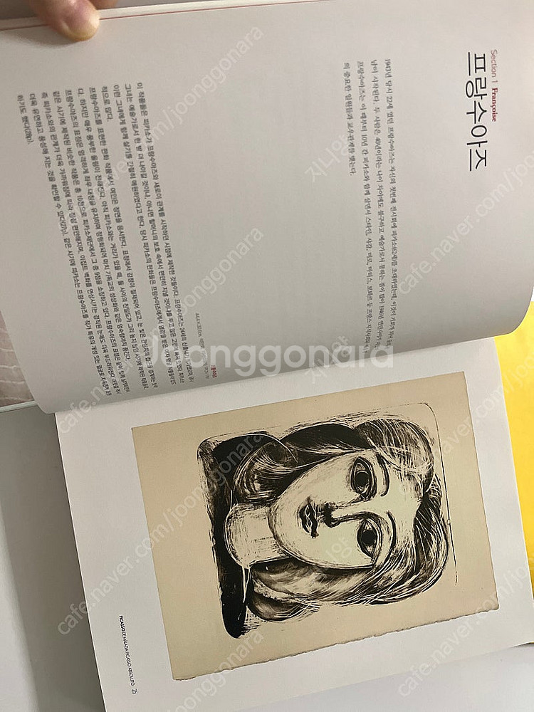 피카소--3