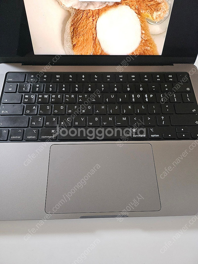 맥북프로 m1 pro ram 32gb ssd 512gb--6