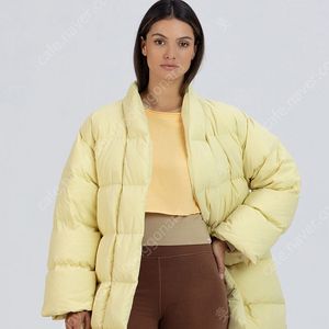 부디무드라 puffer