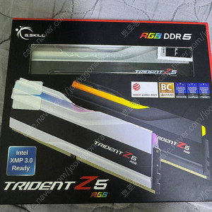 G.SKILL DDR5-6000 CL30 TRIDENT Z5 RGB 실버 32GB(16GX2) 지스킬