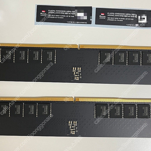 새제품]ESSENCORE KLEVV DDR5 32GB PC-5600 2개