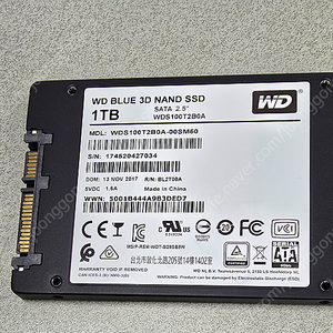 WD blue SSD 2.5인치 1TB (WDS100T2B0A)