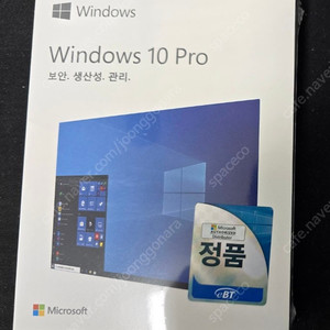 Windows 10 pro