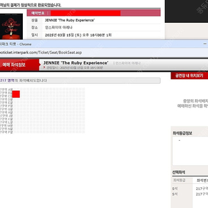제니 콘서트 217구역 C열 2연석 양도
