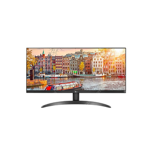 LG 73.66cm 와이드모니터 29WP500