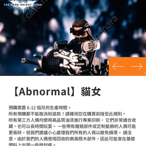 레고 앱노멀(abnormal) 다크나이트 라이즈 캣우먼+배트포드 커스텀 피규어