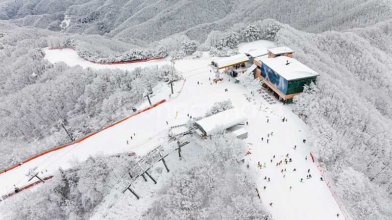 [스키장] 2/15,22,3/1,2일 홍천비발디/모나용...--0