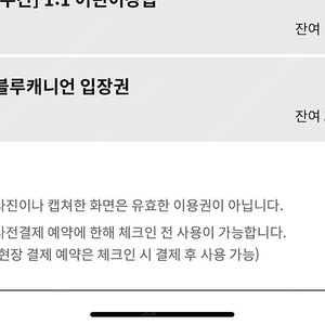 휘팍 블루캐니언 입장권 3매 2월 17월 18화