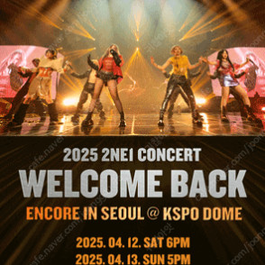 2025 2NE1 CONCERT 콘서트 2연