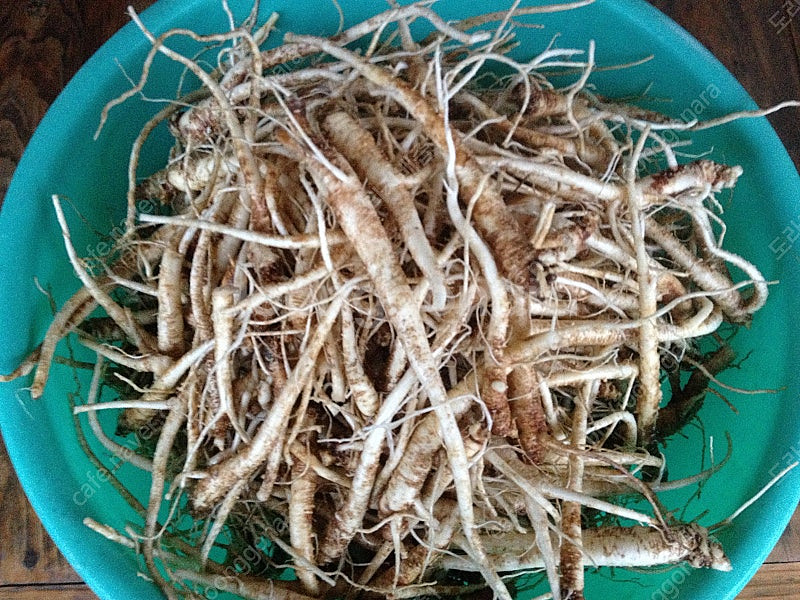 도라지배즙,신고배,생강추가--1
