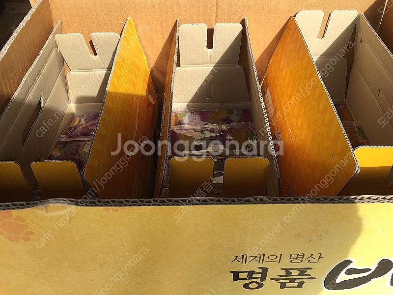 도라지배즙,신고배,생강추가--5