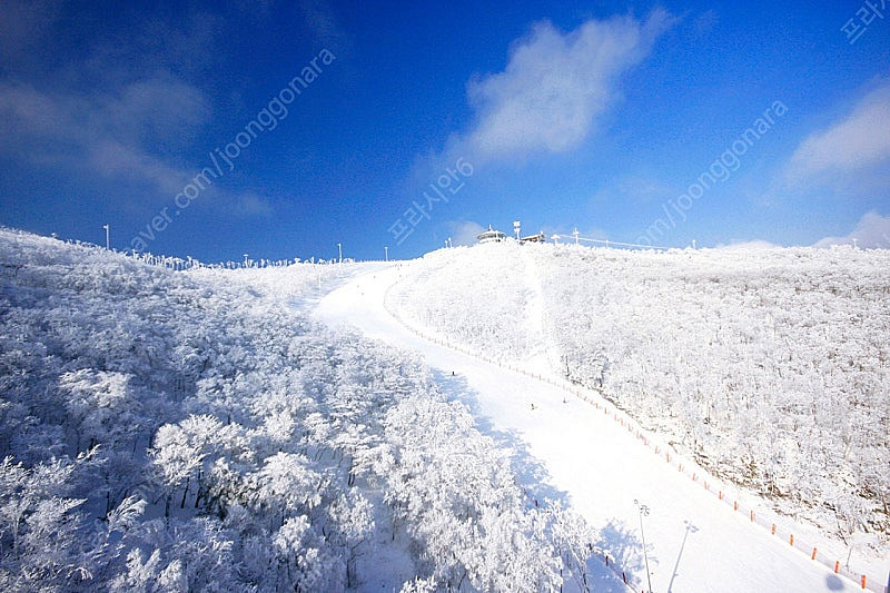 (2월 14일/15일) 하이원리조트 마운틴콘도 양도!!--0