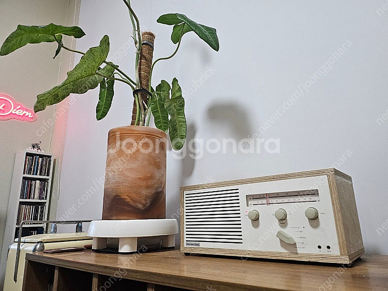 크로슬리 디터람스 브라운 오디오 스타일링--0