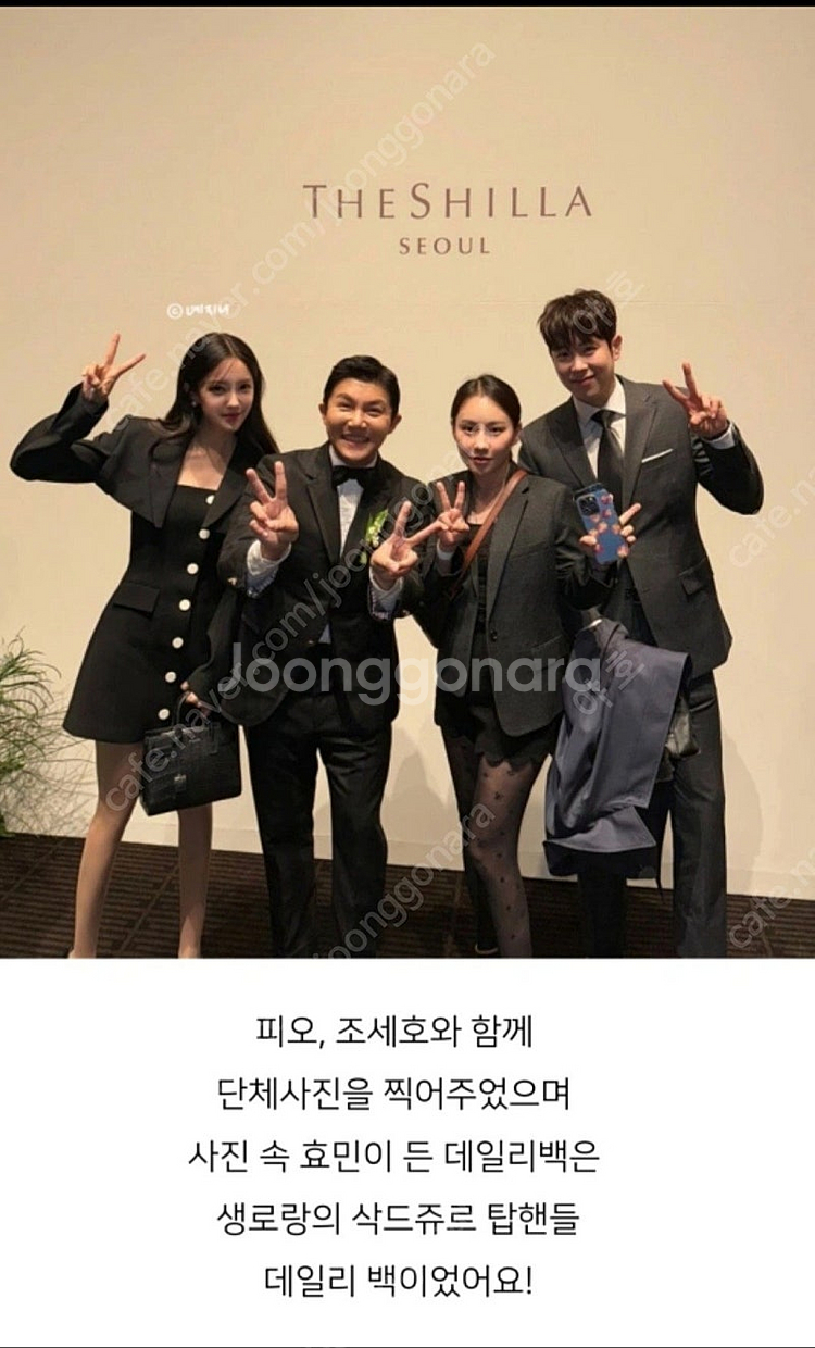 생로랑 삭드쥬르 크로커다일 탑핸들--7