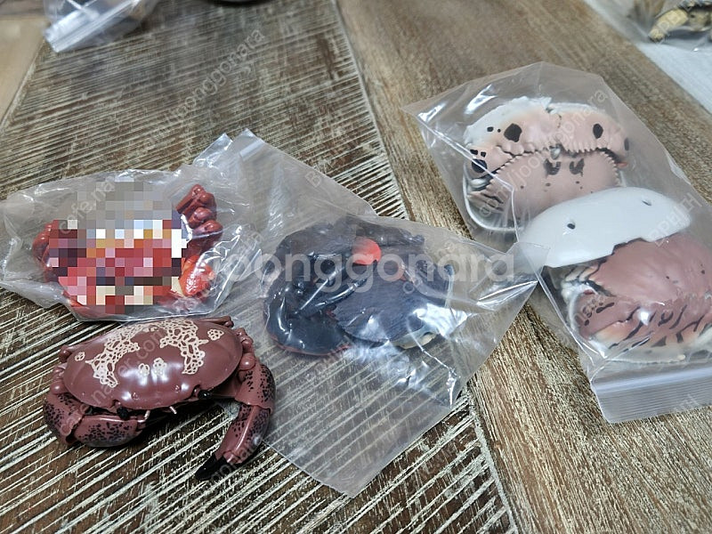 반다이 가챠 만두게 거북이 게코 두꺼비 나비 언제오려나...--1