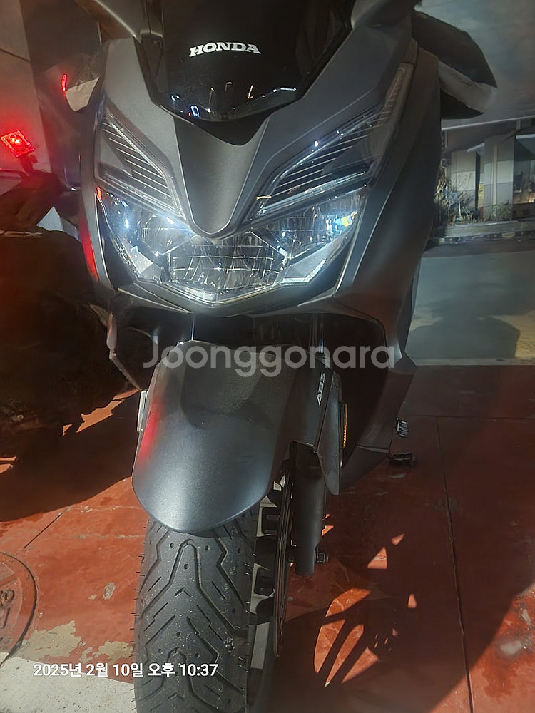 포르자 300--1