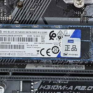 (WDS250G2B0B) WD Blue SATA SSD M.2 2280 - 250GB