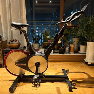 카이저 M3i 인도어 바이크 Keiser Indoor Bike 스피닝 자전거 팝니다 (배송가능)