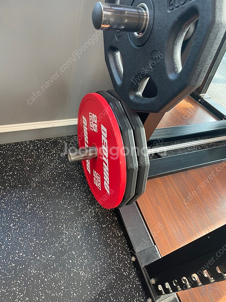 데드쓰루 주물 원판 25kg--0