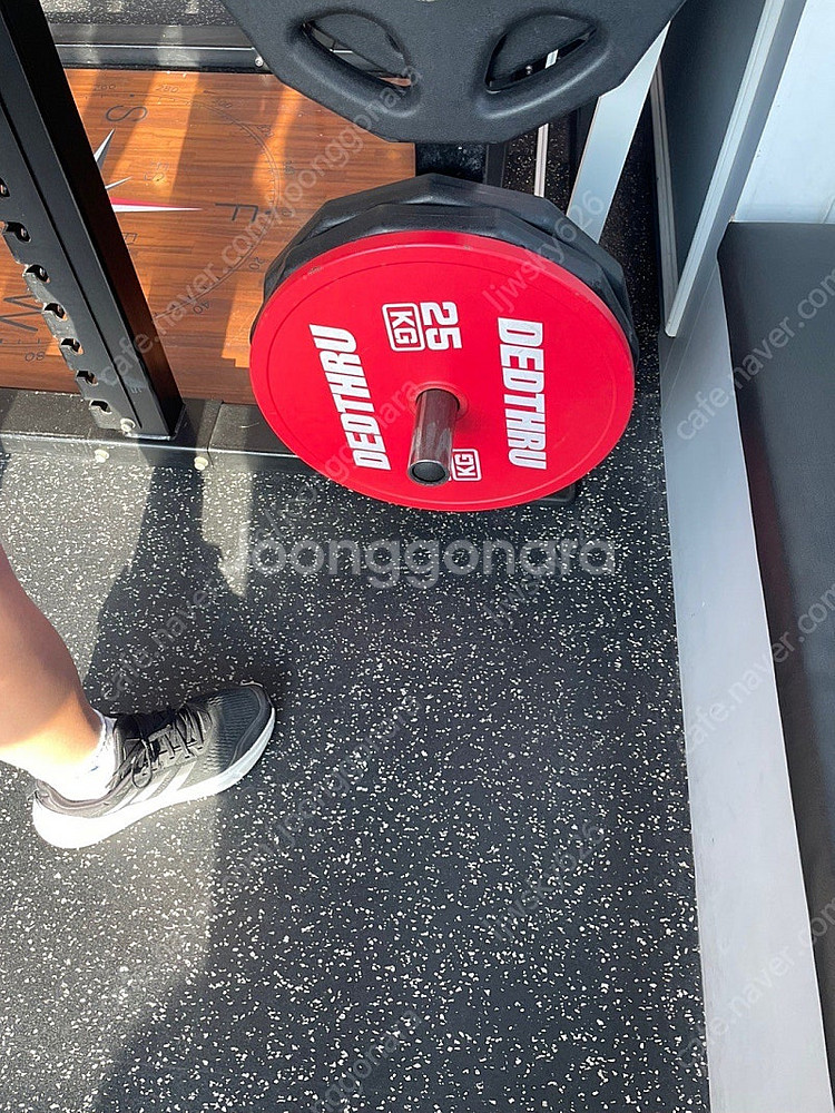 데드쓰루 주물 원판 25kg--1