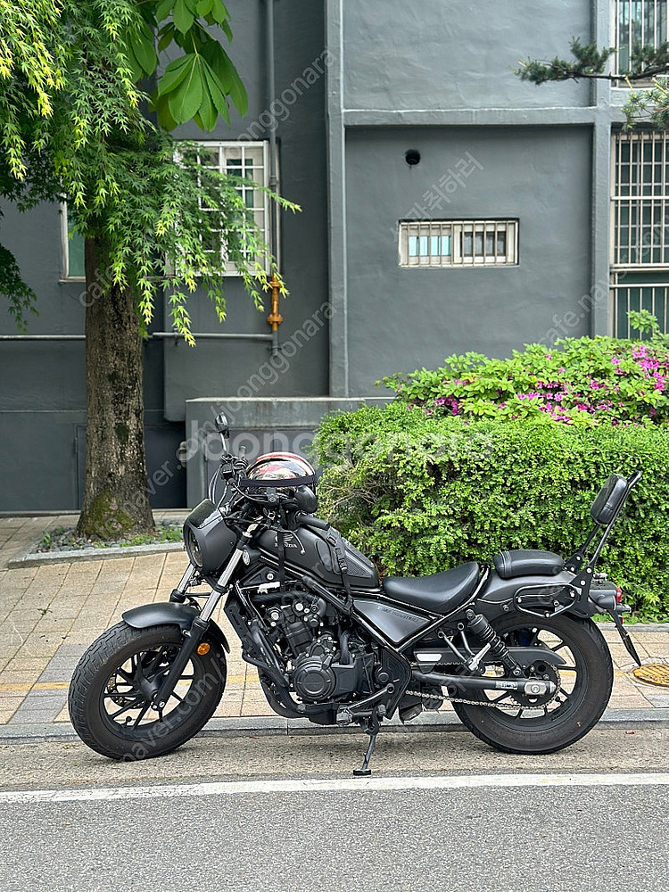 혼다 레블500 20년형 (9,6xxkm)--3
