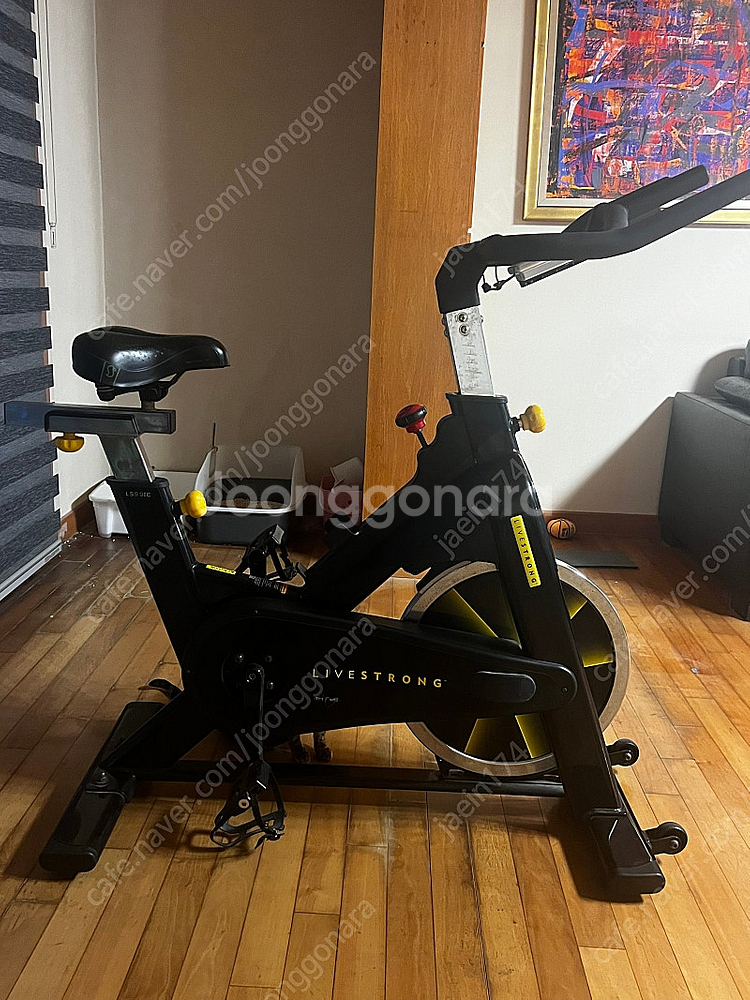 미국명품 LIVESTRONG 스피닝자전거--1