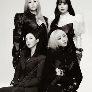 2025 2ne1 콘서트 f1, f5 토요일 일요일 F1 F5 2연석 판매합니다.