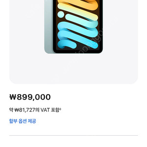 아이패드 미니wifi 256 블루