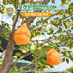 피카츄 in 한라봉 제주에디션 키링