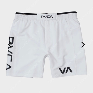 Rvca 루카 쇼츠 31