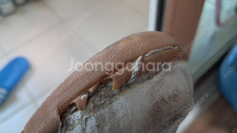 인도어 풋살화 2켤레 일괄판매합니다--1