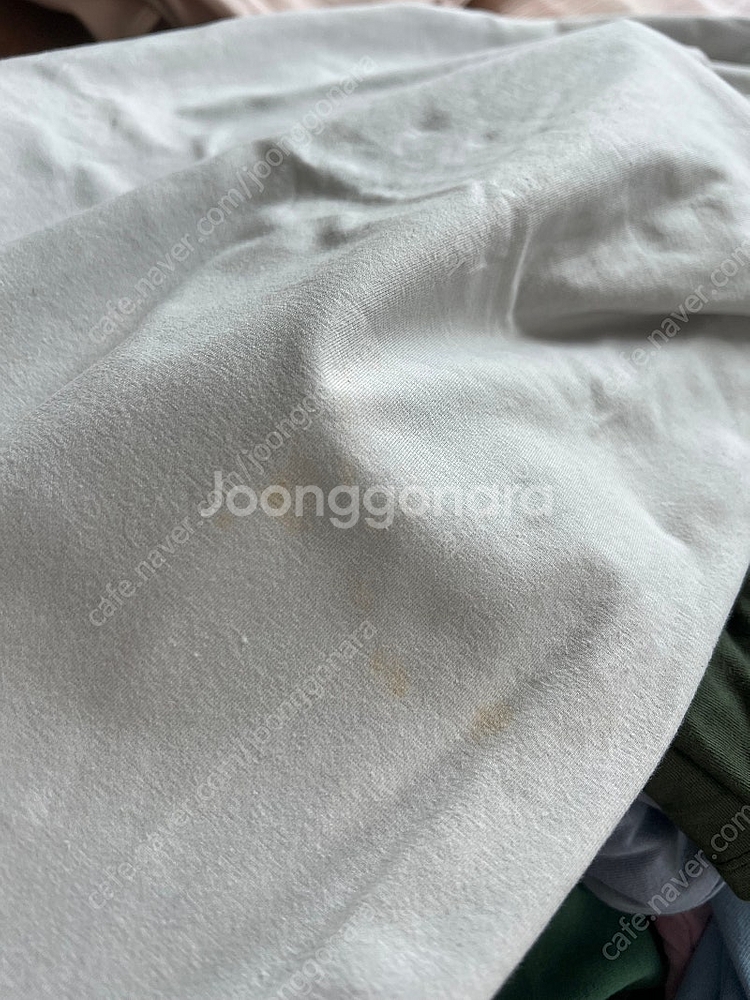 부디무드라 멤바기 연핑크, 포춘 연노랑, 펌킨 화이트--6