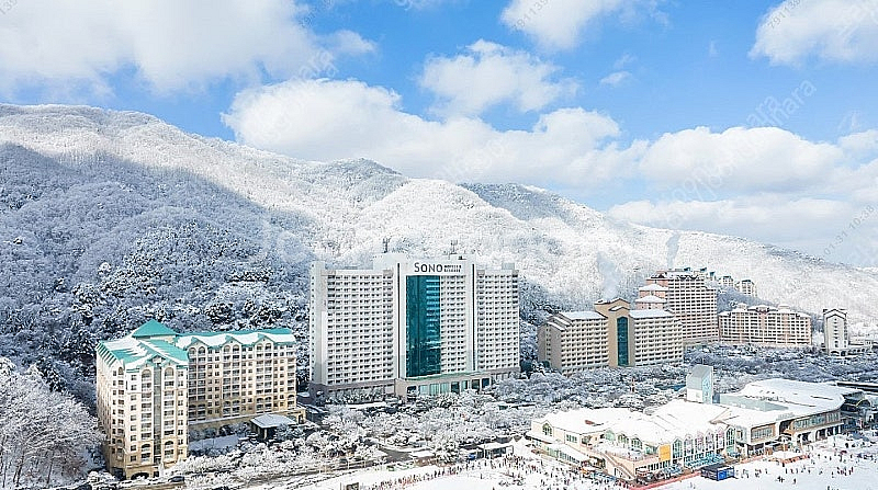 2월 15일 비발디파크 가실분!!--0