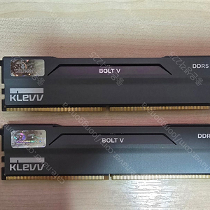 [서울] 에센코어 ddr5 6000 cl30 bolt v ( 16gb x 2 개) 32gb 서린정품