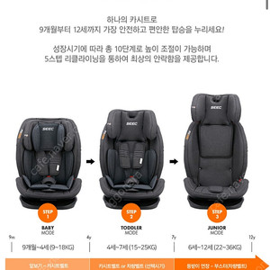 SEEK 카시트 토틀러 주니어 (9개월~12세)
