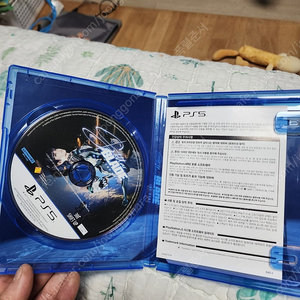 ps5 스텔라블레이드