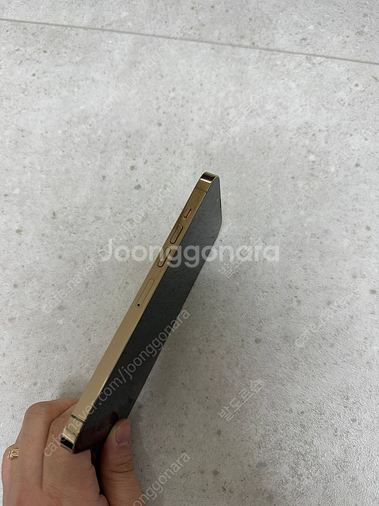 아이폰 13프로맥스 256 골드 팝니다 ( 안동)--2
