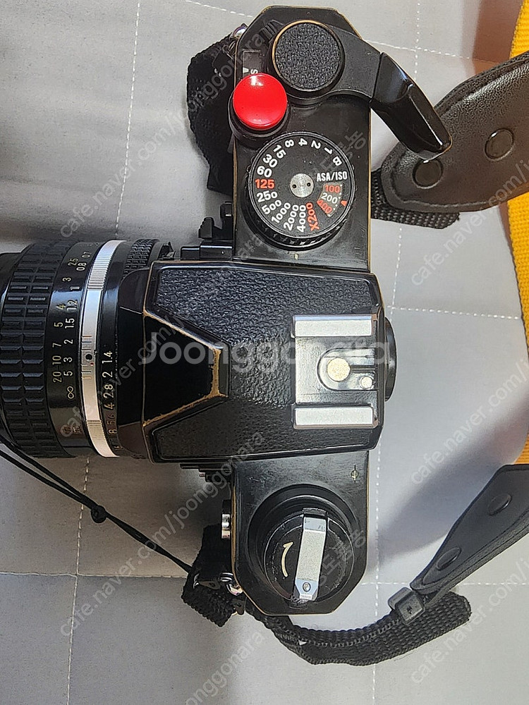니콘fm2+50mmf1.4+필름한개--0